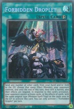 /products/ygo/for/forbidden-droplet/rise-of-the-duelist-forbidden-droplet-485714.jpg