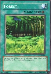 Foresta