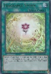 Tempesta di Profumo