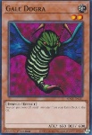 Dogra Burrasca