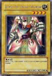 Guerriero Magnetico Gamma