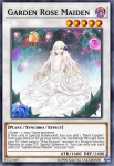 Fanciulla Rosa del Giardino