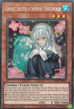 /products/ygo/gho/ghost-sister-spooky-dogwood/dark-neostorm-ghost-sister-spooky-dogwood-372838.jpg