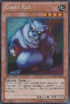 Ratto Gigante