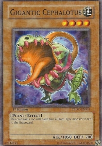 /products/ygo/gig/gigantic-cephalotus/crossroads-of-chaos-gigantic-cephalotus-108415.jpg