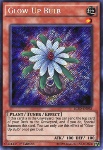 Bulbo Luminoso
