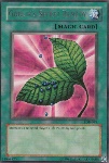 Cura Segreta Goblin