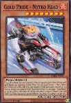 Orgoglio d'Oro - Nytro Testa