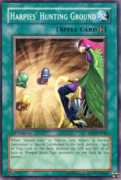 /products/ygo/har/harpies-hunting-ground/rise-of-destiny-harpies-hunting-ground-103855.jpg