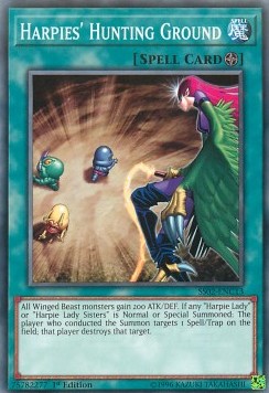 /products/ygo/har/harpies-hunting-ground/speed-duel-starter-decks-duelists-of-tomorrow-harpies-hunting-ground-369233.jpg