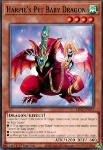 Cucciolo di Drago delle Arpie