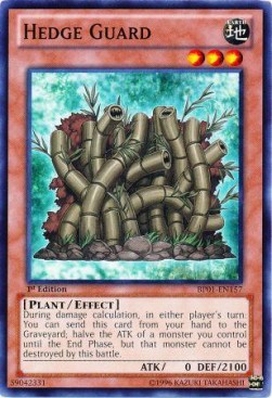/products/ygo/hed/hedge-guard-v1-common/battle-pack-epic-dawn-hedge-guard-v1-common-255125.jpg
