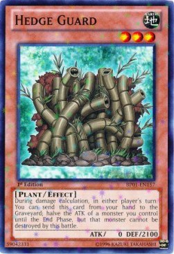 /products/ygo/hed/hedge-guard-v2-starfoil-rare/battle-pack-epic-dawn-hedge-guard-v2-starfoil-rare-255246.jpg