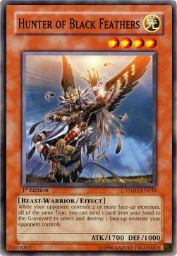 /products/ygo/hun/hunter-of-black-feathers/the-shining-darkness-hunter-of-black-feathers-240978.jpg