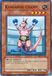Campione Canguro