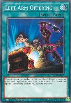 /products/ygo/lef/left-arm-offering/structure-deck-order-of-the-spellcasters-left-arm-offering-372804.jpg
