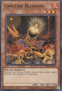 /products/ygo/lon/lonefire-blossom/structure-deck-beware-of-traptrix-lonefire-blossom-696607.jpg