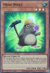 Talpa Miniera