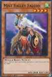 Falco della Valle delle Nebbie