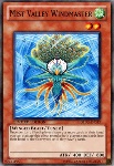 Signore del Vento della Valle delle Nebbie