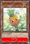 Naturia Ananas