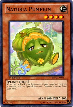 /products/ygo/nat/naturia-pumpkin/starstrike-blast-naturia-pumpkin-244284.jpg