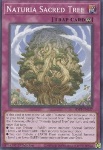 Naturia l'Albero Sacro