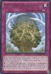 Naturia l'Albero Sacro