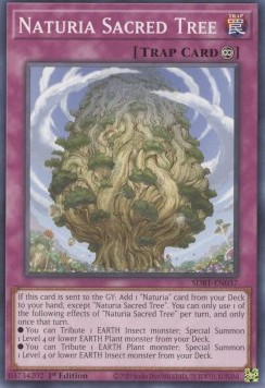 /products/ygo/nat/naturia-sacred-tree/structure-deck-beware-of-traptrix-naturia-sacred-tree-696634.jpg