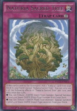 /products/ygo/nat/naturia-sacred-tree/the-new-challengers-naturia-sacred-tree-270886.jpg