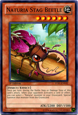 /products/ygo/nat/naturia-stag-beetle/starstrike-blast-naturia-stag-beetle-244285.jpg
