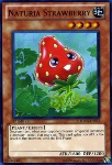 Naturia Fragola