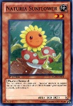 Naturia Girasole