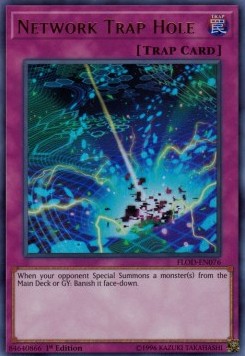 /products/ygo/net/network-trap-hole/flames-of-destruction-network-trap-hole-356853.jpg