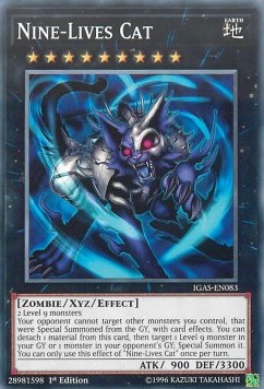 /products/ygo/nin/nine-lives-cat/ignition-assault-nine-lives-cat-434719.jpg