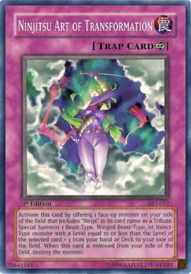 /products/ygo/nin/ninjitsu-art-of-transformation/ancient-sanctuary-ninjitsu-art-of-transformation-104819.jpg