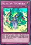 Arte della Trasformazione Ninjitsu