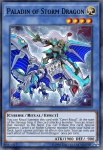 Paladino del Drago Tempesta