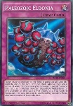 Paleozoic Eldonia