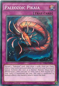 /products/ygo/pal/paleozoic-pikaia/the-dark-illusion-paleozoic-pikaia-291476.jpg