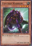 Pantera Guerriera