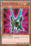 Cavalletta Pungente