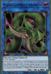 Predapianta Anaconda Verte