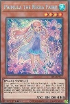 Primula la Fata Rikka