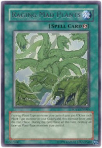 /products/ygo/rag/raging-mad-plants/stardust-overdrive-raging-mad-plants-109860.jpg