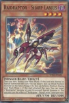 Raidraptor - Lanius Affilato