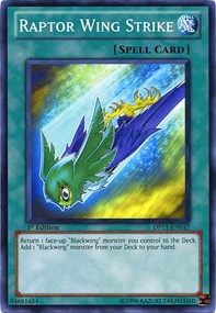 /products/ygo/rap/raptor-wing-strike/duelist-pack-crow-raptor-wing-strike-246696.jpg
