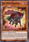 Drago Rosa Rossa