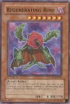 Rosa Rigenerante