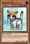 Gatto da Soccorso
